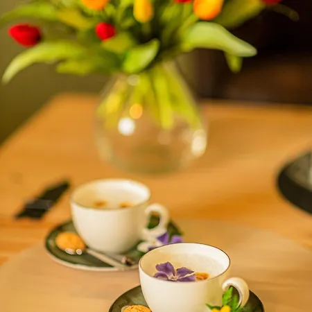 فندق Alte Schlossbrauerei 3*